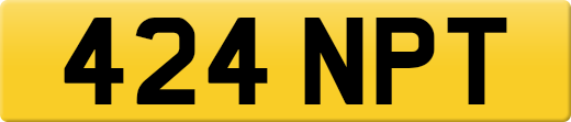 424NPT