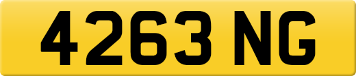 4263NG