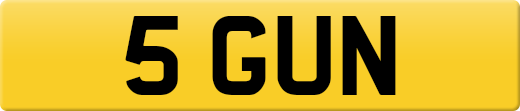 5GUN