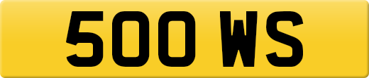 500WS