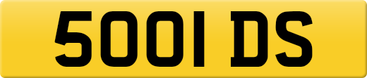 5001DS