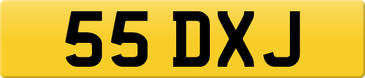 55DXJ