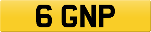 6GNP