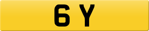 6Y