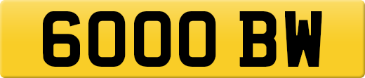 6000BW