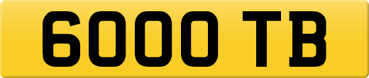 6000TB
