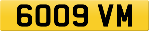 6009VM
