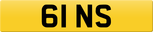 61NS