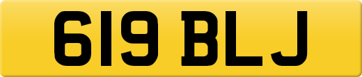 619BLJ