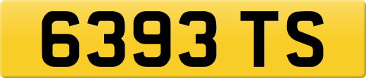6393TS