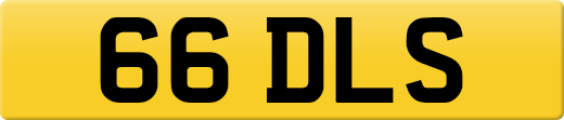 66DLS