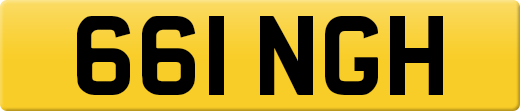 661NGH