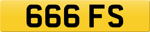 666FS