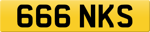 666NKS