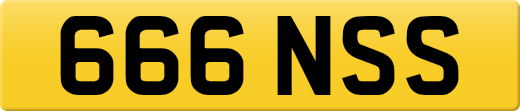 666NSS