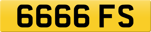 6666FS