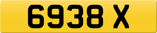 6938X