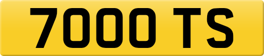 7000TS