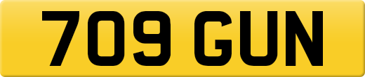 709GUN