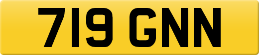 719GNN