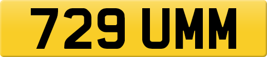 729UMM