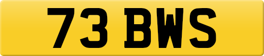 73BWS