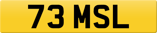 73MSL