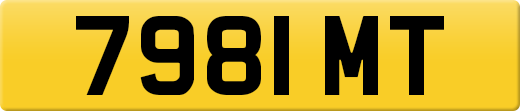 7981MT