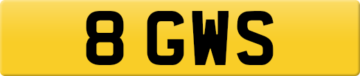 8GWS