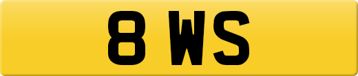 8WS