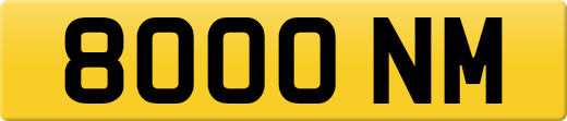 8000NM