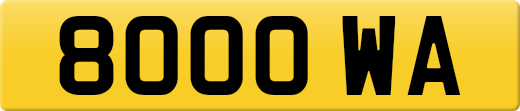 8000WA