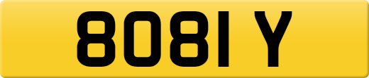 8081Y