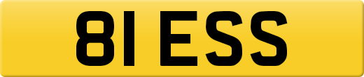 81ESS