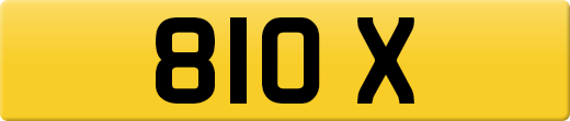 810X