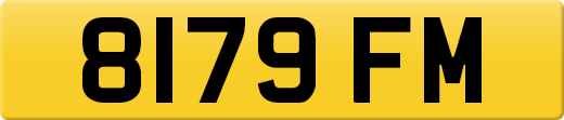 8179FM