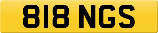 818NGS
