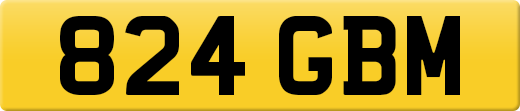 824GBM