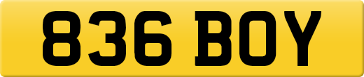 836BOY