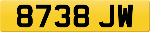 8738JW