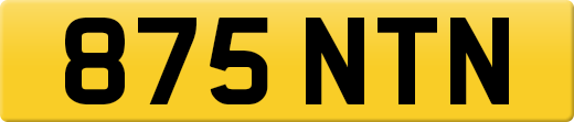875NTN