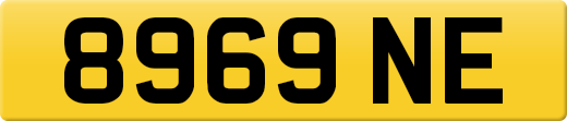 8969NE