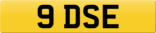 9DSE