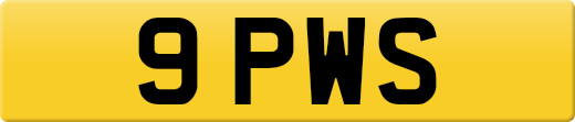 9PWS