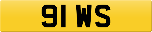 91WS