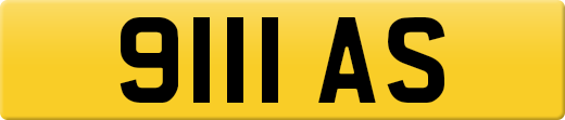 9111AS