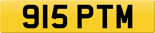 915PTM