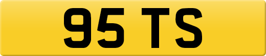 95TS
