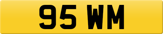 95WM
