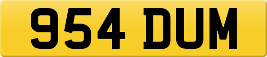 954DUM